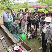 グリーンカーテンで涼もう